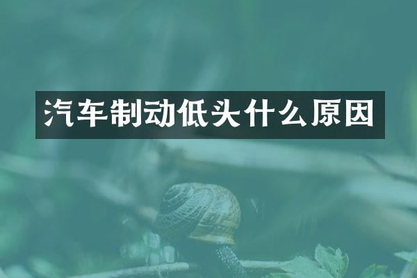 汽车制动低头什么原因