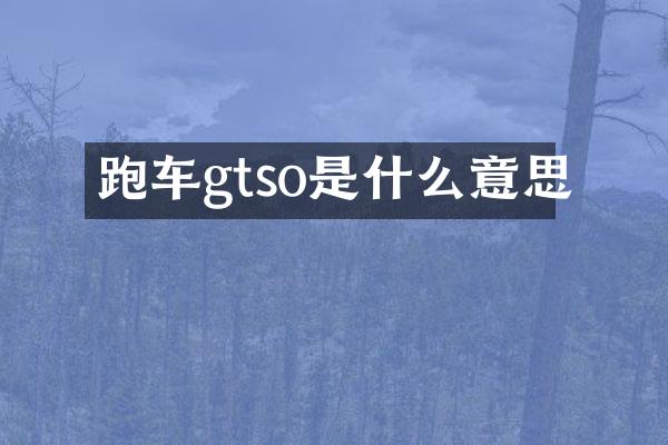 跑车gtso是什么意思