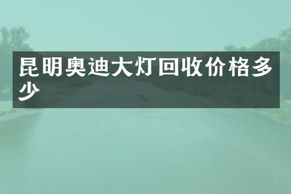 昆明奥迪大灯回收价格多少