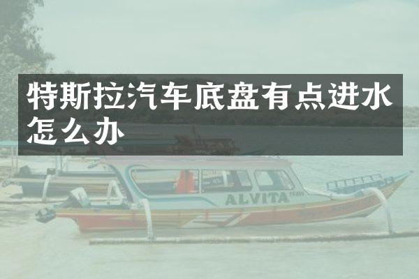 特斯拉汽车底盘有点进水怎么办