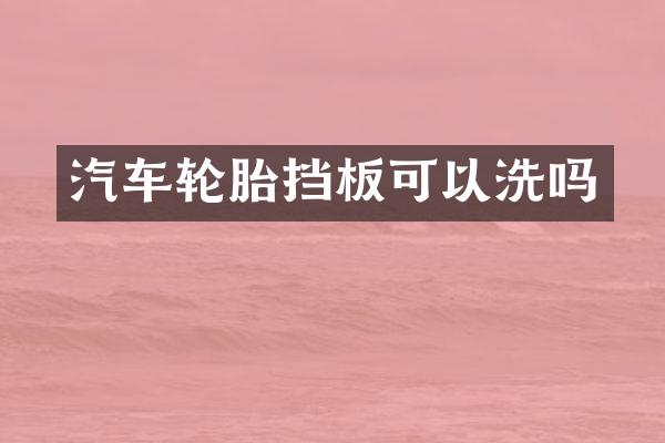 汽车轮胎挡板可以洗吗