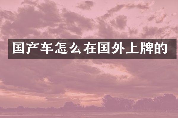 国产车怎么在国外上牌的