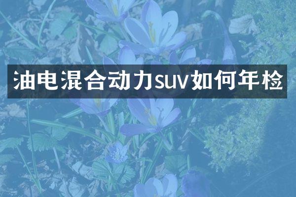油电混合动力suv如何年检