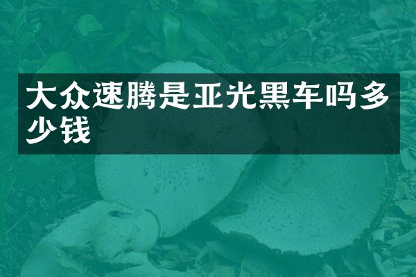 大众速腾是亚光吗多少钱