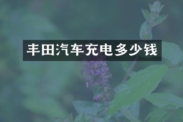 丰田汽车充电多少钱