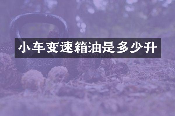 小车变速箱油是多少升