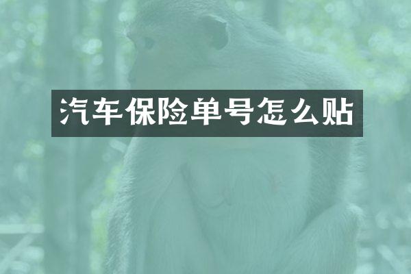 汽车保险单号怎么贴