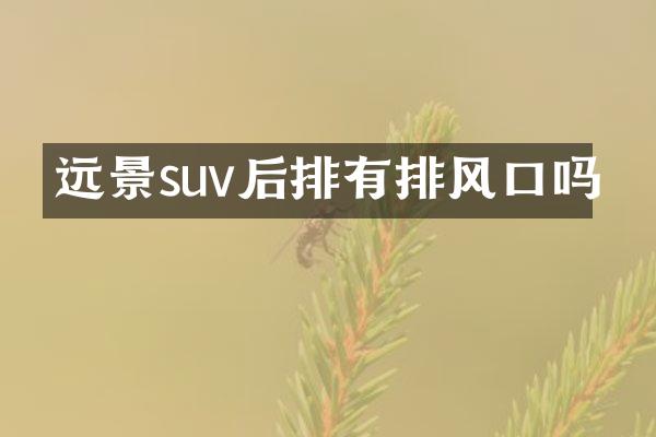 远景suv后排有排风口吗