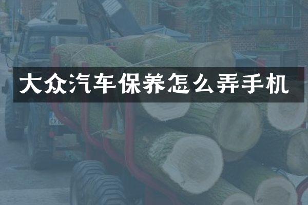 大众汽车保养怎么弄手机