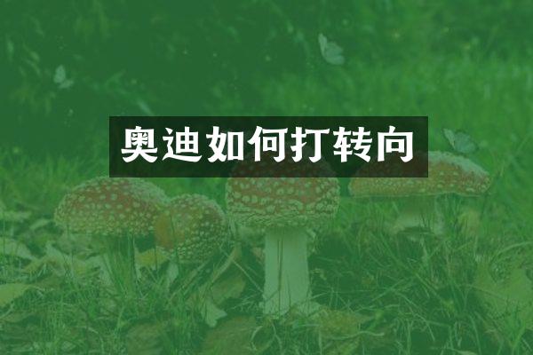 奥迪如何打转向