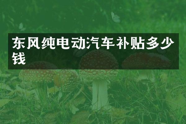 东风纯电动汽车补贴多少钱