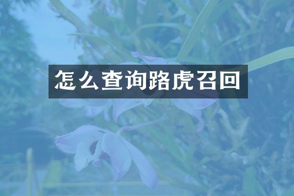 怎么查询路虎召回