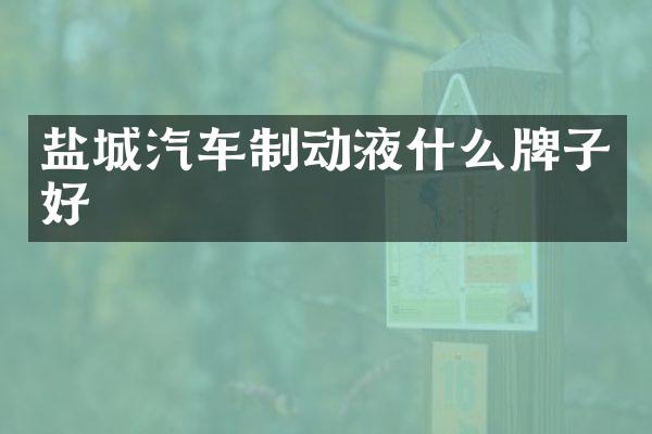 盐城汽车制动液什么牌子好