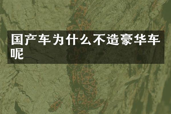 国产车为什么不造豪华车呢