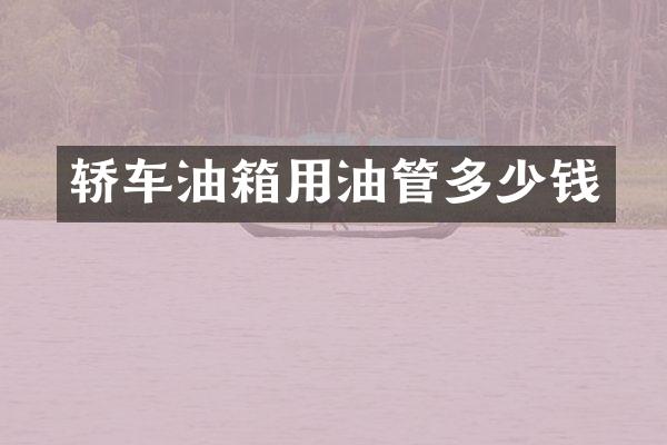 轿车油箱用油管多少钱