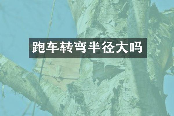 跑车转弯半径大吗