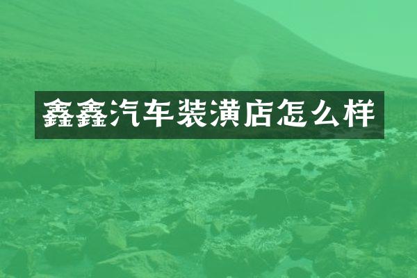 鑫鑫汽车装潢店怎么样