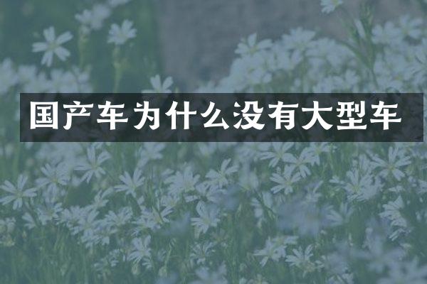国产车为什么没有大型车