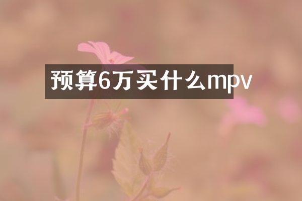 预算6万mpv