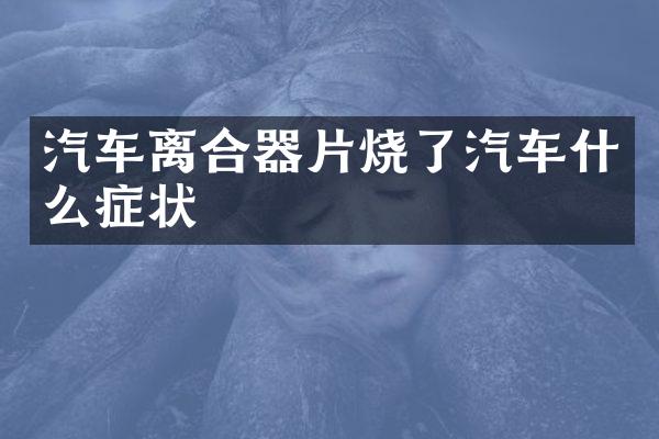 汽车离合器片烧了汽车什么症状