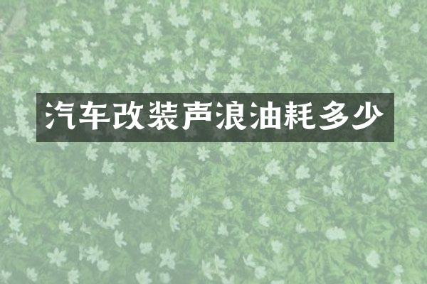 汽车改装声浪油耗多少