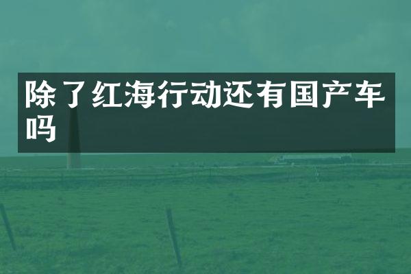 除了红海行动还有国产车吗