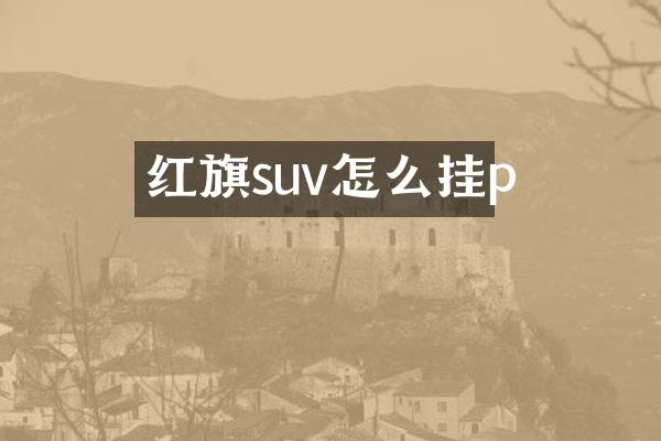 红旗suv怎么挂p