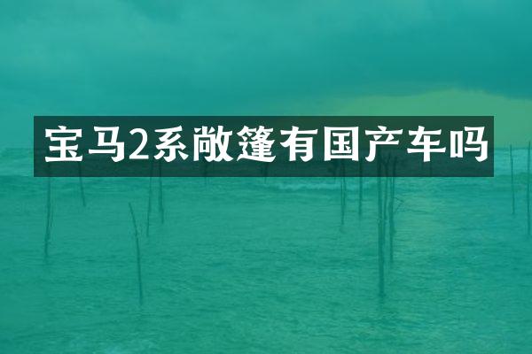 宝马2系敞篷有国产车吗