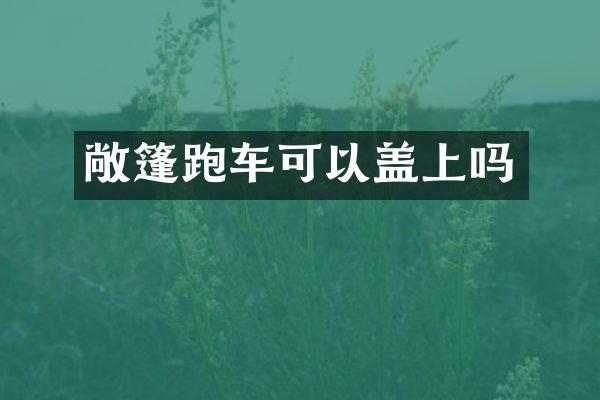 敞篷跑车可以盖上吗