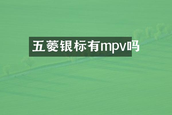 五菱银标有mpv吗