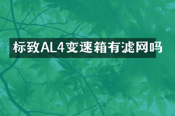 标致AL4变速箱有滤网吗