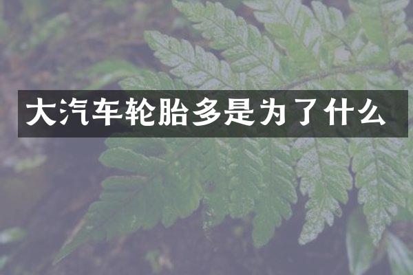 大汽车轮胎多是为了什么