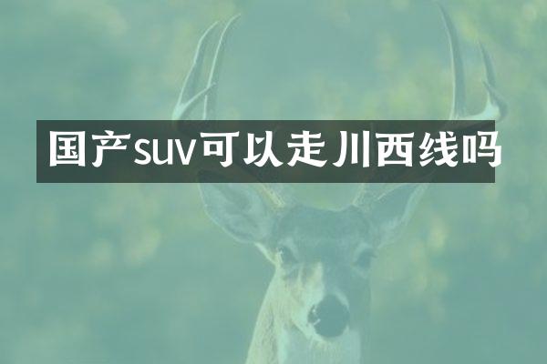 国产suv可以走川西线吗