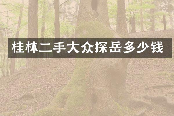 桂林二手大众探岳多少钱