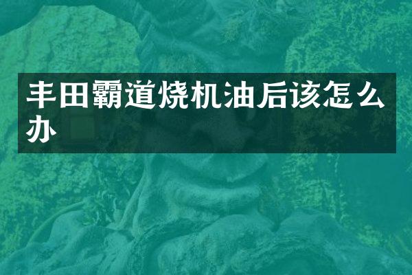 丰田霸道烧机油后该怎么办