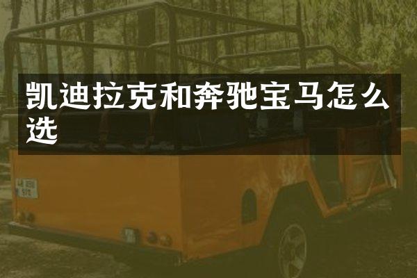 凯迪拉克和奔驰宝马怎么选