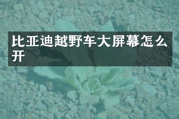 比亚迪越野车大屏幕怎么开