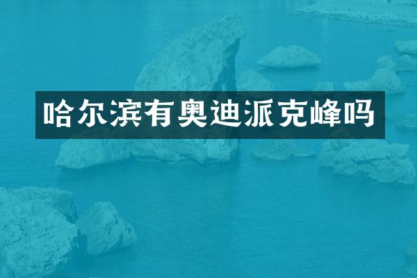 哈尔滨有奥迪派克峰吗