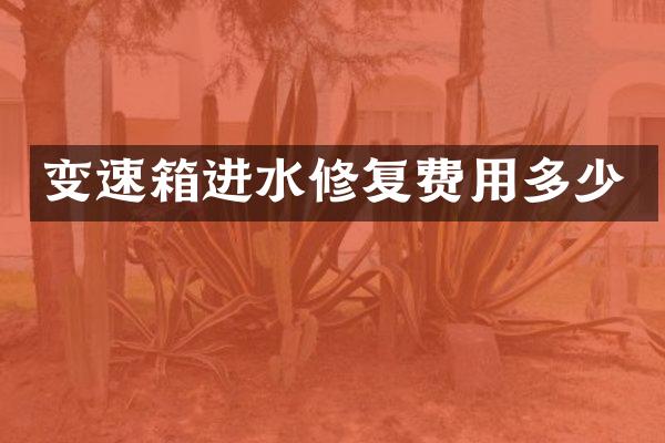 变速箱进水修复费用多少