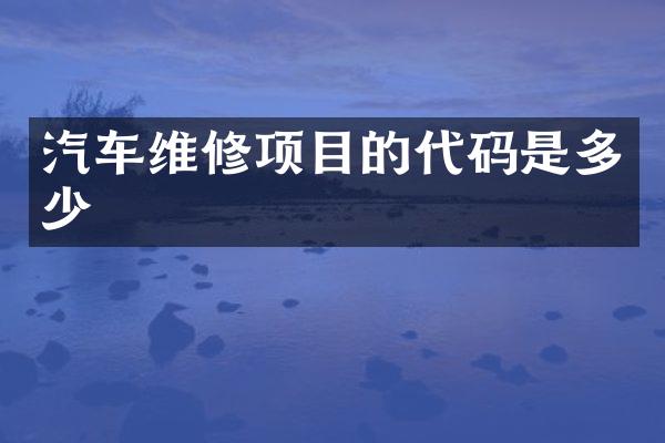 汽车维修项目的代码是多少