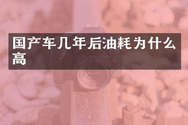 国产车几年后油耗为什么高