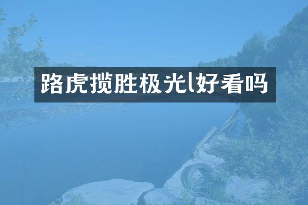 路虎揽胜极光l好看吗