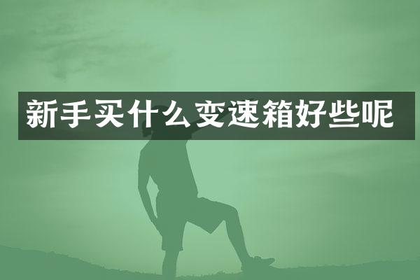 新手变速箱好些呢