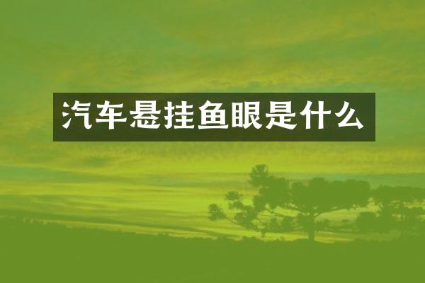汽车悬挂鱼眼是什么