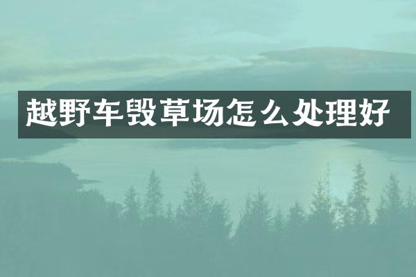越野车毁草场怎么处理好