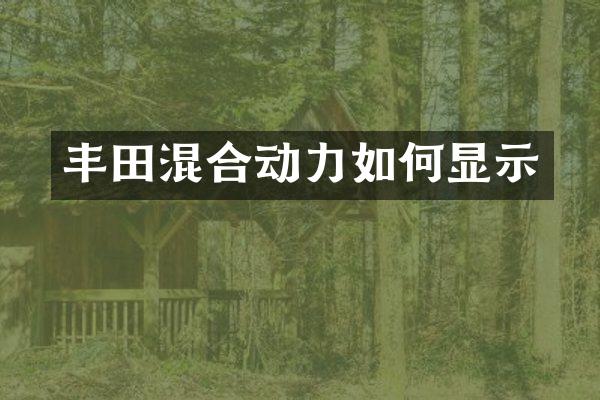 丰田混合动力如何显示