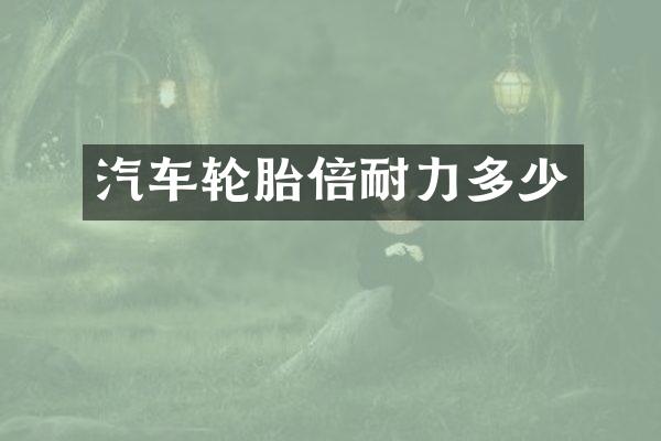 汽车轮胎倍耐力多少