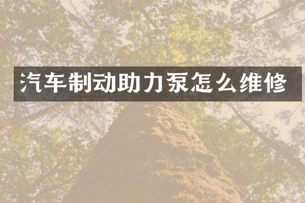 汽车制动助力泵怎么维修