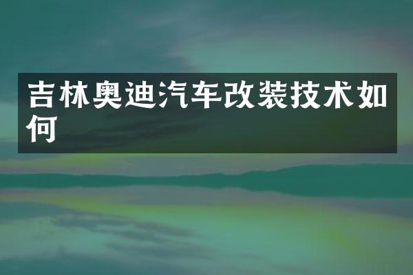 吉林奥迪汽车改装技术如何