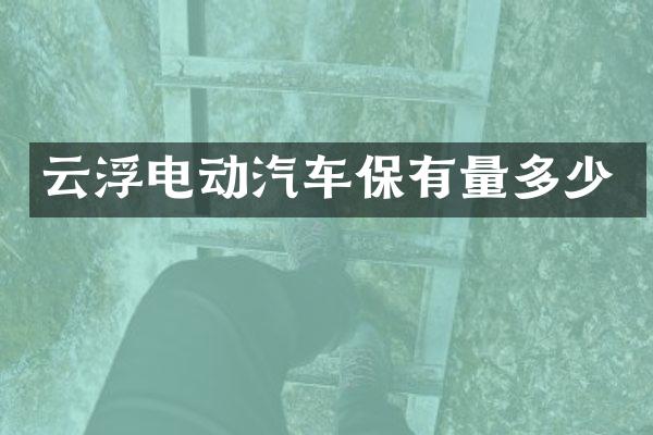 云浮电动汽车保有量多少